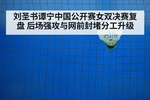 badminton net shot closeup